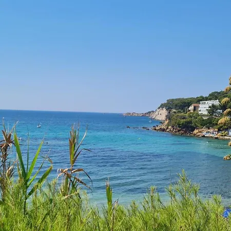 T3, 65 M2, Sur Mer,300m Du Port, Terrasse Et Petite Cour, 2 Et Salon *